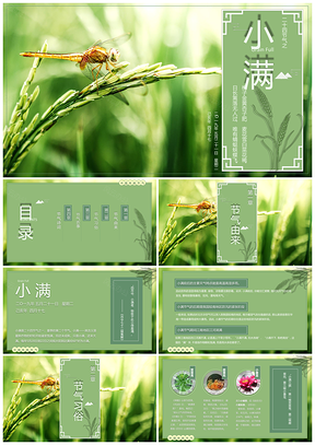 小滿(mǎn)