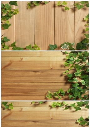 自然木板藤蔓PPT背景圖片