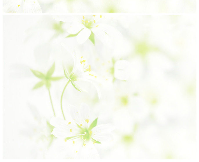 清凉小花淡雅背景图片下载|ppt背景元素_风云办公下载