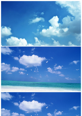 大海 海鷗藍天白云高清背景圖片