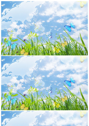 草綠 花開 蝶舞 春天到來背景圖片