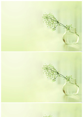 插在玻璃瓶里的小花——寧靜淡雅綠幻燈片背景
