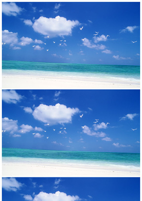 海鷗在碧海藍天間飛翔ppt背景圖片