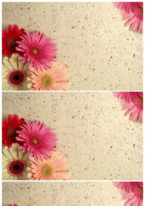 花朵ppt專用背景圖片