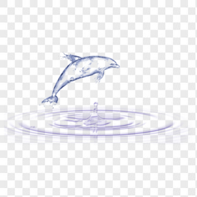 海豚水花