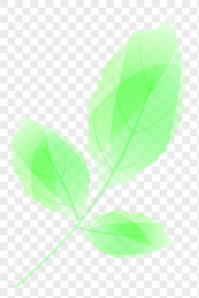 绿色的叶子纹理反色图