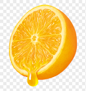 新鲜橙子汁水横切面