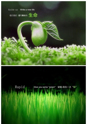 美丽绿色大自然PPT背景图片