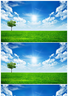 绿草地上的一棵树蓝天白云ppt图片