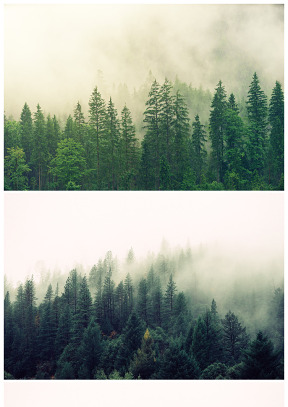 树木山林青雾小清新高清幻灯图片（2张）
