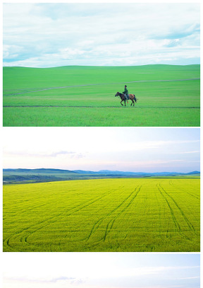 骑着马的牧民 草原图片
