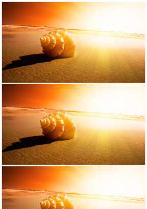 夕阳 沙滩 海螺唯美幻灯片背景