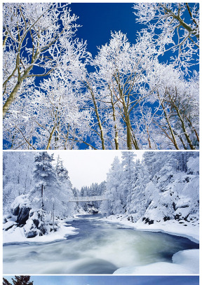 树——漂亮的冬季雪景ppt背景图片【图组】