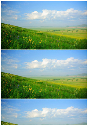 童话世界般的优美草原风景图片
