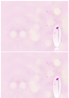 一朵紫色的花儿花瓣飘香粉色背景图片
