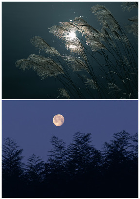圆月 弯月中秋的月亮高清幻灯片图片