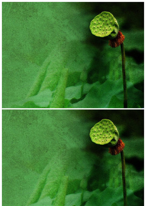 中国风荷叶莲子绿色背景图片