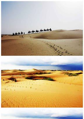 沙漠驼队ppt图片