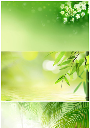 淡雅绿色小清新ppt背景图片（3张）
