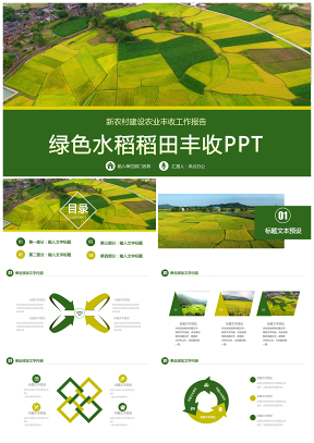 农业水稻麦田种植农作物丰收新农村建设农产品推广招商PPT模板