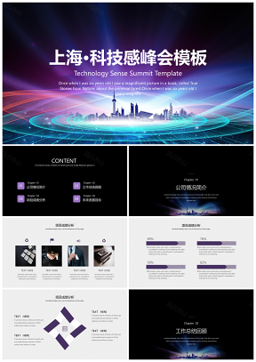 上海国际峰会城市品牌商业计划书