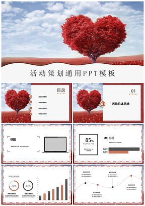 活動策劃項目匯報通用PPT模板