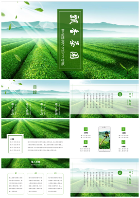 清新茶园茶产品品牌介绍图文排版模板