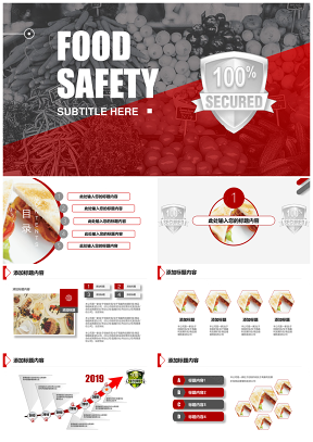 食品安全工作总结计划汇报PPT模板