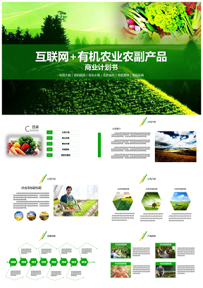 2018互联网加有机农业农副产品推广商业计划书PPT模板