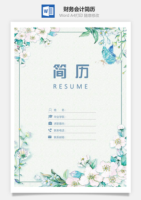 小清新财务会计简历