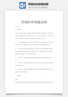 常規(guī)砼體修漏加固word文檔