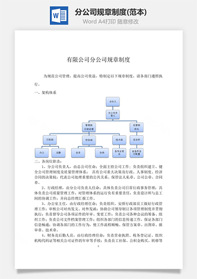 分公司規(guī)章制度(范本)Word文檔