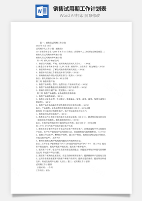 销售试用期工作计划表Word文档