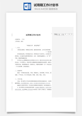 試用期工作計(jì)劃書Word文檔